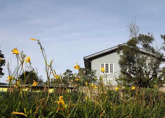 Pedro View Homestay