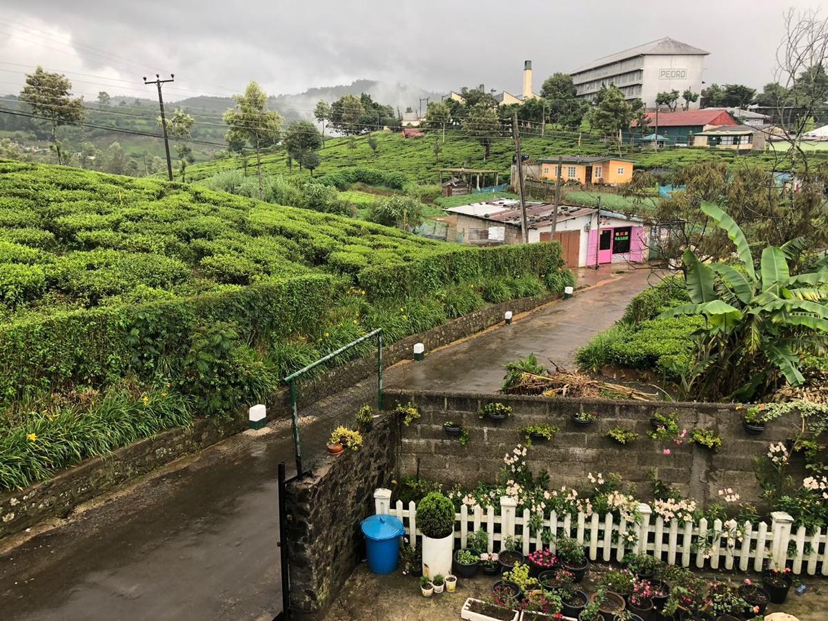 Pedro View