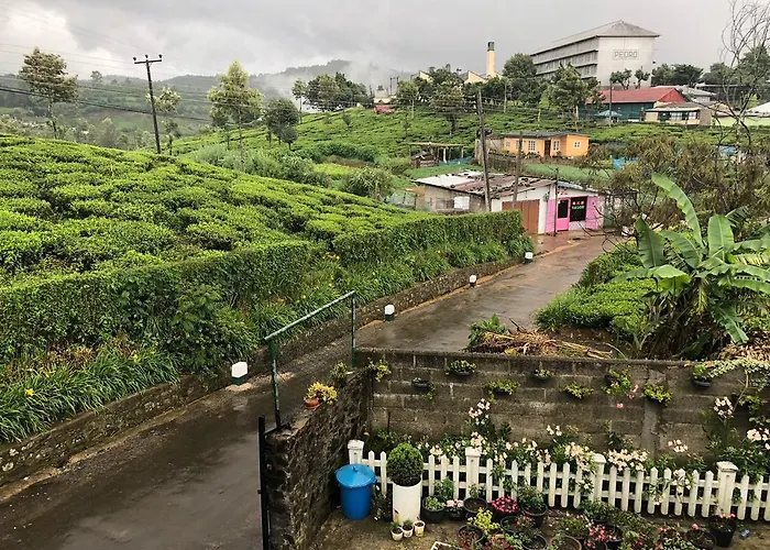 Pedro View Homestay